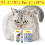 GS-441524 FIP tablets for cat